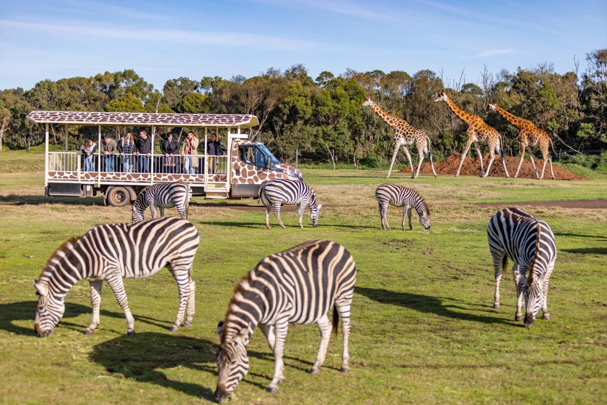 Holiday Inn Werribee By Ihg Extérieur photo